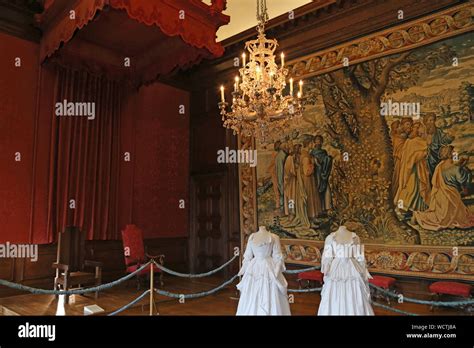 tudor chambers|privy chamber england.